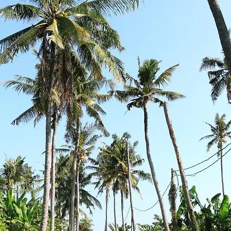 Tamu Seseh Villa Canggu  Bagian luar foto