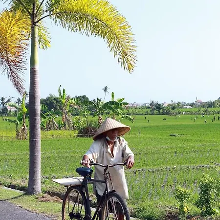 Tamu Seseh Villa Canggu  Bagian luar foto