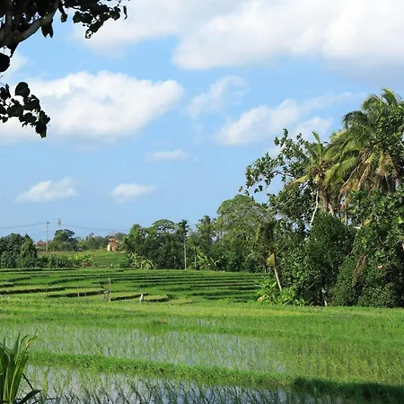Tamu Seseh Villa Canggu  Bagian luar foto