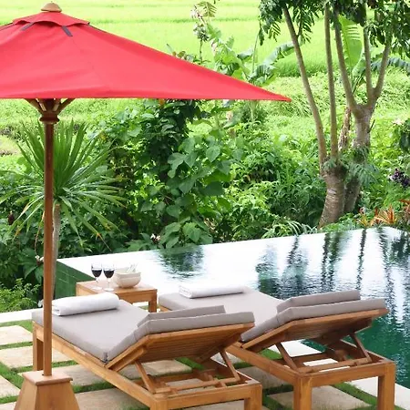 Tamu Seseh Villa Canggu  Ruang foto