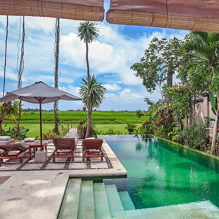 Tamu Seseh Villa Canggu  Bagian luar foto
