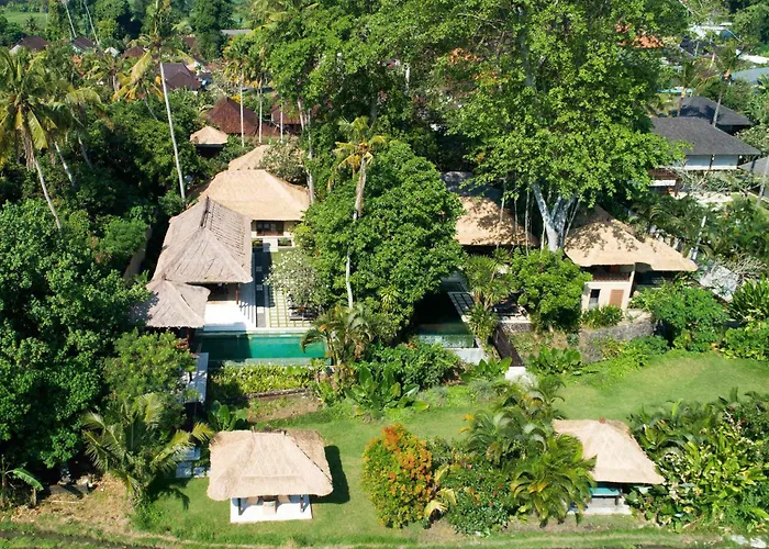 Tamu Seseh